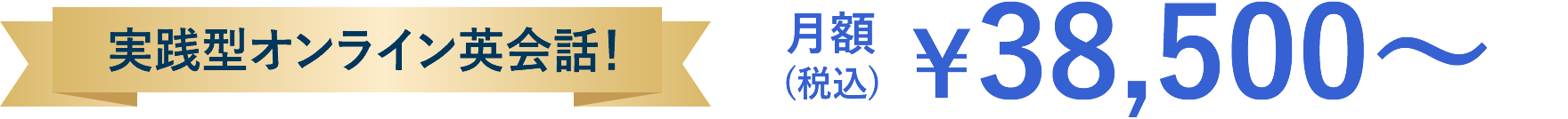 実践型オンライン英会話！ 月額￥38,500～(税込)