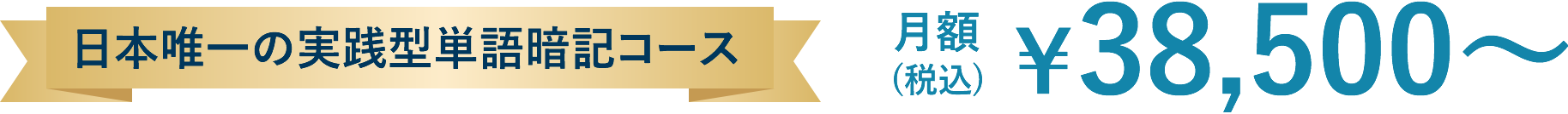 日本唯一の実践型単語暗記コース 月額￥38,500～(税込)